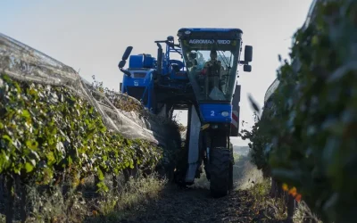 ¿Más producción = Menos productores…?
