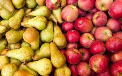 Arden peras y manzanas