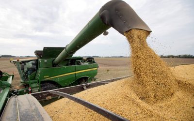El Gobierno presiona por U$S del campo