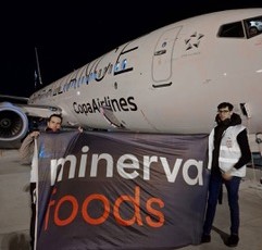 Carne en avión
