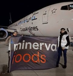Carne en avión