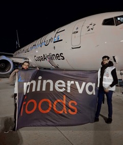 Carne en avión
