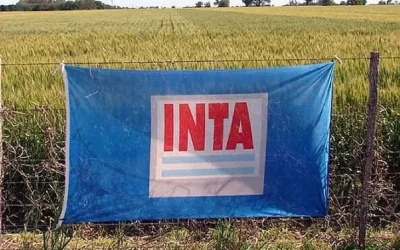 ¿Para qué queremos el INTA?
