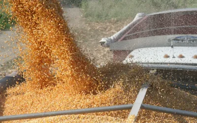 Sentido común: para exportar más, hay que producir más…