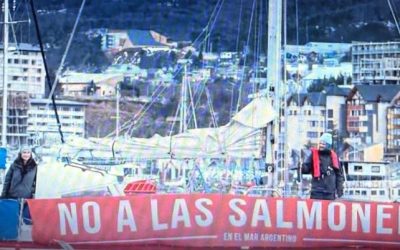 Van por los salmones