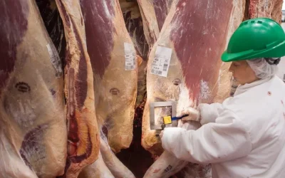 Expectativas en la carne argentina: el efecto del dólar y el cambio de tendencias