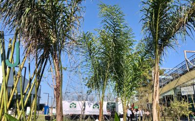 Grupos Jardín en CREA