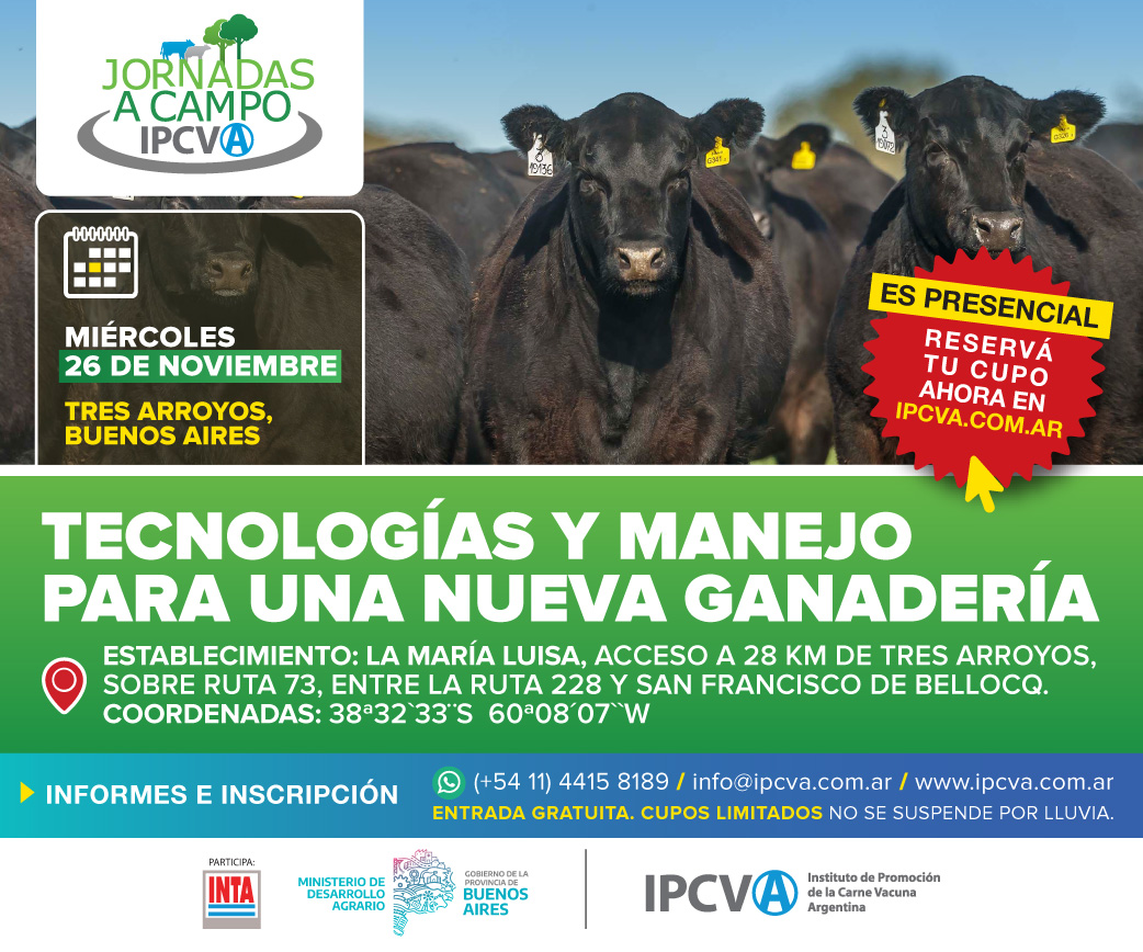 300x250 tres arroyos