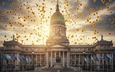 También el girasol tiene su “boom”