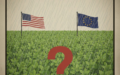 Granos: en la etapa más crítica