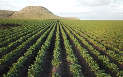 Argentina se puso la 10