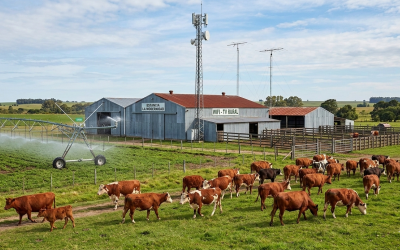 RIMI: inédita herramienta de equidad