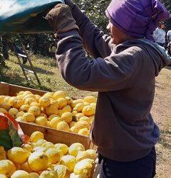 Aumento a desempleados