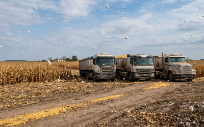 Transportes: la otra “guerra”