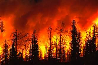 S.O.S. incendio