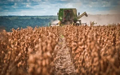 El campo vive un momento histórico, pero no todos están preparados para lo que viene
