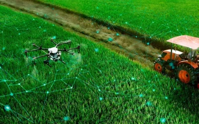 El campo también avanza a velocidades distintas
