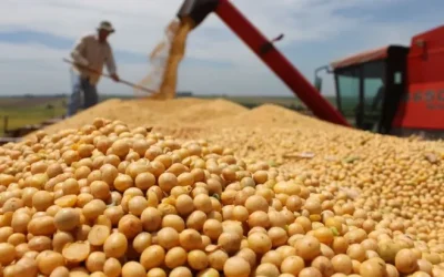 La guerra por el petróleo acelera un cambio que podría transformar el negocio de la soja