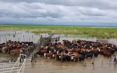 Más producción, más demanda y una infraestructura que llega tarde