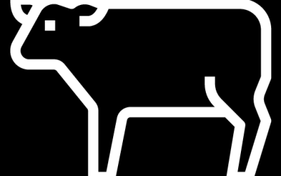 Carne y trabajo sustentable