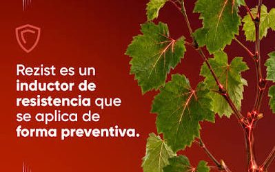 Aspirinas para las plantas